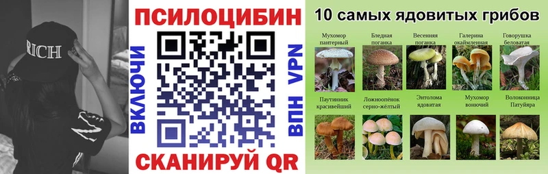 Галлюциногенные грибы Magic Shrooms  Купить  Нурлат 